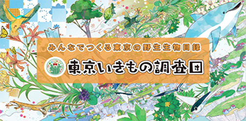 東京いきもの調査団
