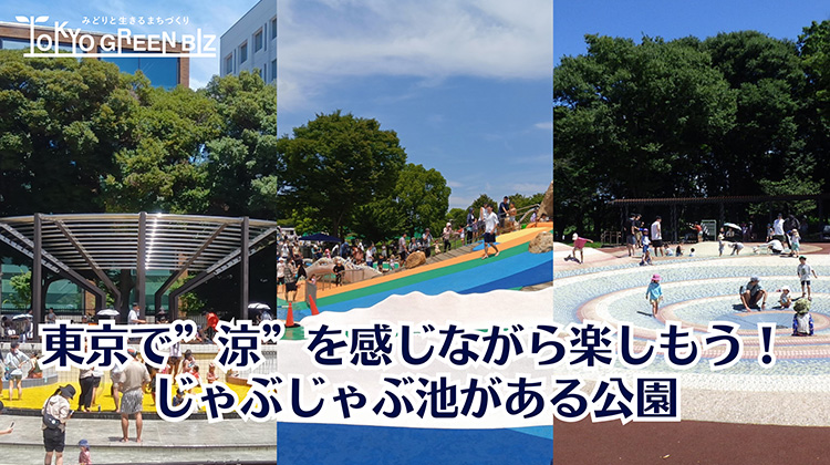 じゃぶじゃぶ池がある公園